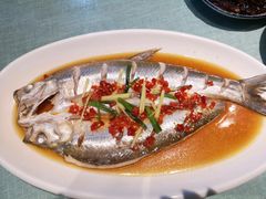 -西塘人家•黑金冠本地好店