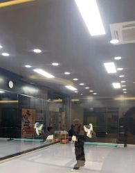 -单色舞蹈