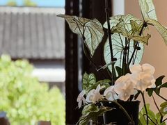 -青莯_Percher Coffee Shop(皮市街店)