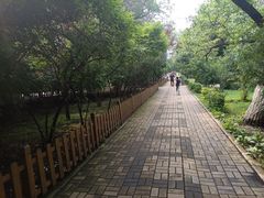 -哈尔滨文化公园