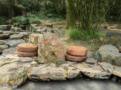 -兰亭风景区