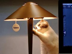 -宅天下装饰·匠心筑家(春熙店)