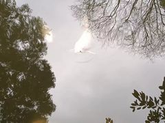 -成都杜甫草堂博物馆