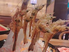 -尚海豆捞(乐虹坊店)