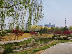 -西海子公园