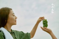 点击看大图 -金夫人婚纱摄影(西昌店)