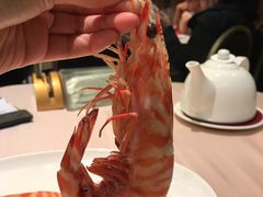 -陶陶居海鲜酒家(新马路店)