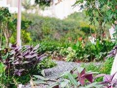 -人民公园(罗湖区)