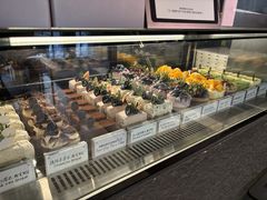 -W COLLECTIVE  DESSERT SHOP