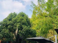 -星巴克臻选(思南公馆店)