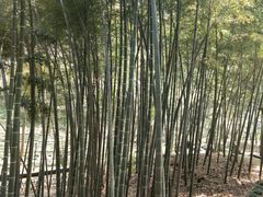 -杭州黄龙洞