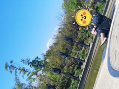 -上海吴淞炮台湾国家湿地公园