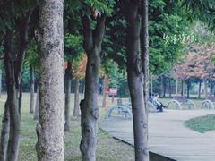 -眉山湿地公园(东坡区)