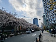 -JR东日本大都会大饭店东京城