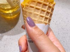 -野人先生现做冰淇淋(西安赛格店)