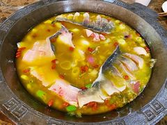鲜椒麻辣青锅-鲜椒鱼·雅安地标性美食