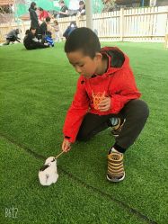 -萌宠亲子动物乐园(槐房万达店)