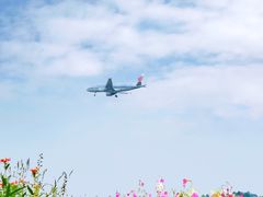 -空港花田景区