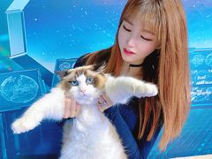 -零纪元VR体验馆·桌游(黄浦店)