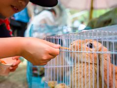 -贵州森林野生动物园