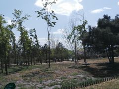 -长春公园(普阳街道)