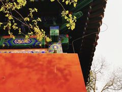 -北京国子监胡同