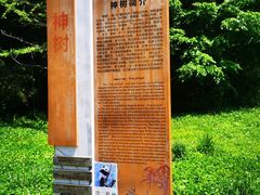 -卧龙中华大熊猫苑神树坪基地