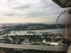 -新加坡丽思卡尔顿美年酒店