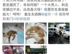 iphone_upload_pic-盛京一禾