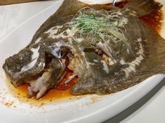 清蒸多宝鱼-鱼乐轩·俄罗斯海鲜直供餐厅(群力店)