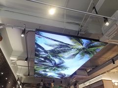 -探窝·竹笙椰子鸡(杨箕店)