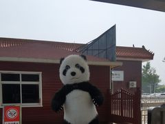 -南戴河国际娱乐中心