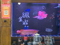 -荣记潮汕牛肉火锅(仙鹤街店)
