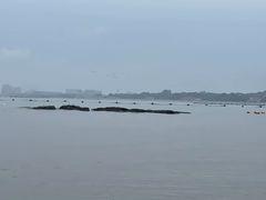 -老虎石海上公园