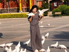 -天津妈祖文化园