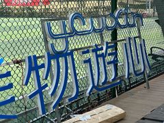 -游心咖啡(青山滨江店)