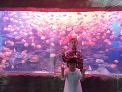 -多彩贵州城极地海洋世界