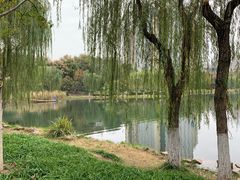 -后襄河公园