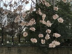 -红星桥(地铁站)