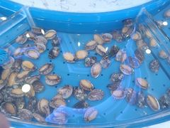 -澜悦港海鲜体验主题餐厅
