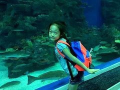 -成都浩海立方海洋公园