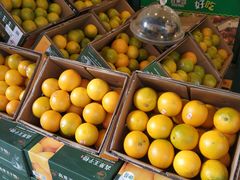 -百果园(芳华路店)