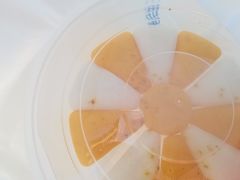 -来之顺海鲜菜馆·青岛菜·始于1993(栈桥店)