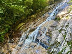 -青峰峡国家森林公园