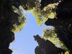 -梭布垭石林景区