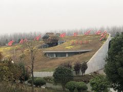 -合肥滨湖国家森林公园