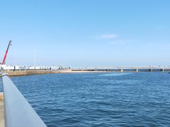 -小麦岛公园