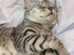 -漓江又一軒·广西菜·桂林米粉(梅林店)