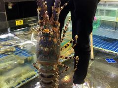 -旺角餐厅(潮州大道店)