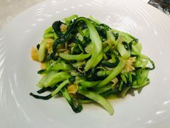 鸡毛菜百叶丝-三玛璐酒楼(汉口路店)